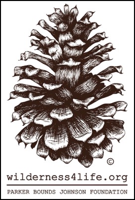 Stacks Image 742