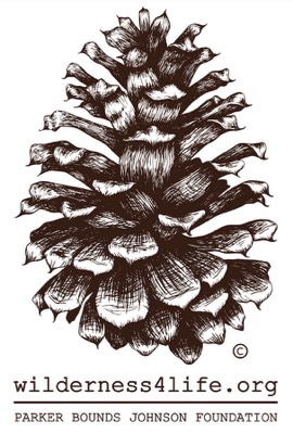 Stacks Image 1153